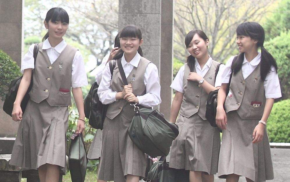如何從高校自主招生簡(jiǎn)章中獲取重要信息？ 