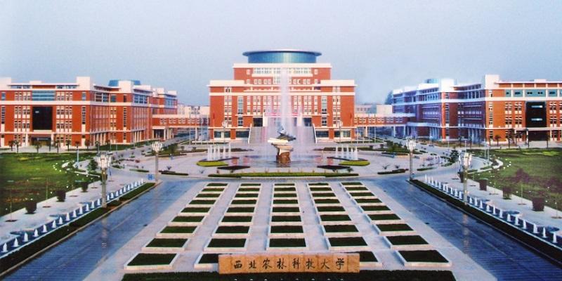西北農(nóng)林科技大學：如何創(chuàng)建世界一流農(nóng)業(yè)大學