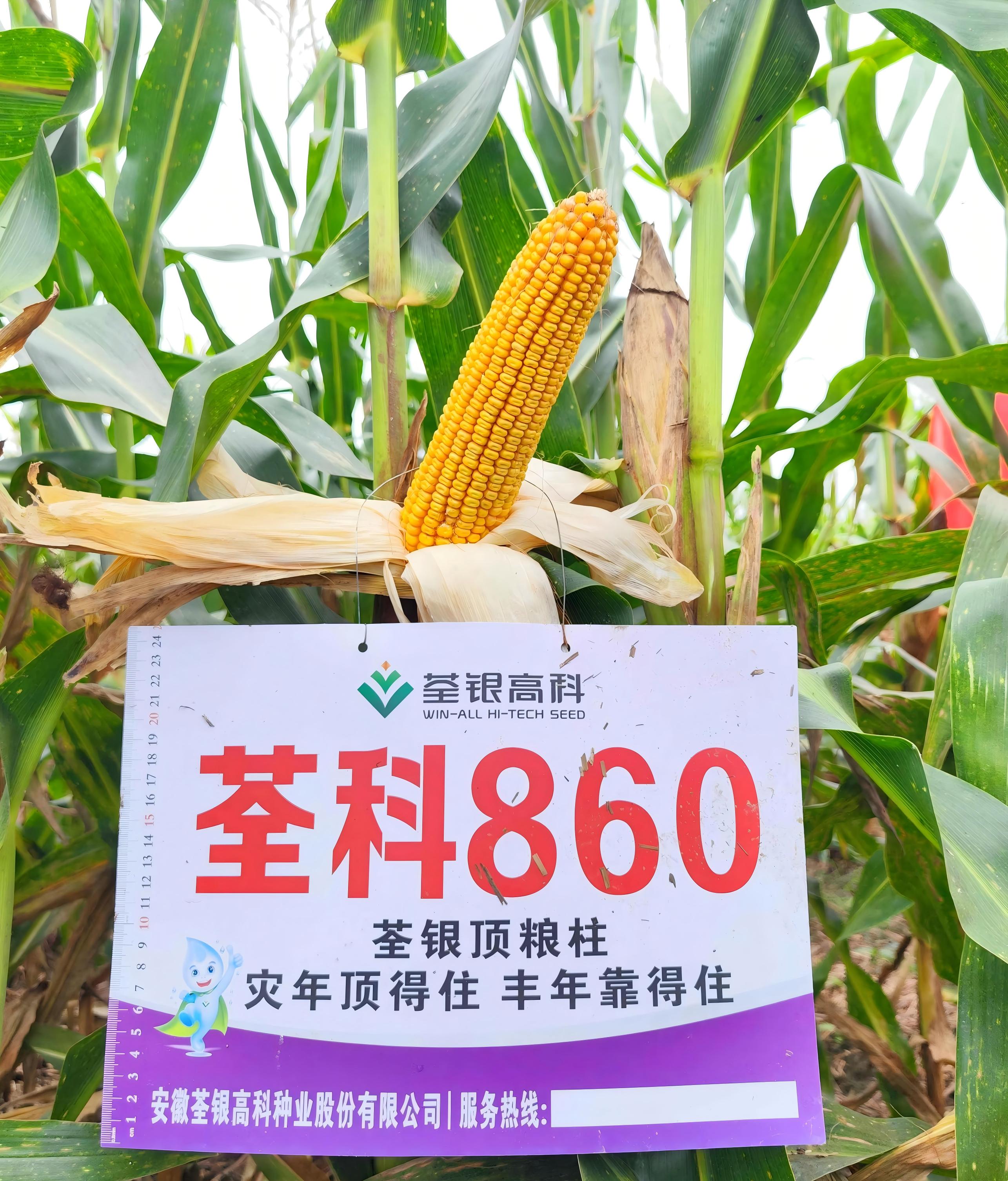 荃科860.jpg 荃科860.jpg